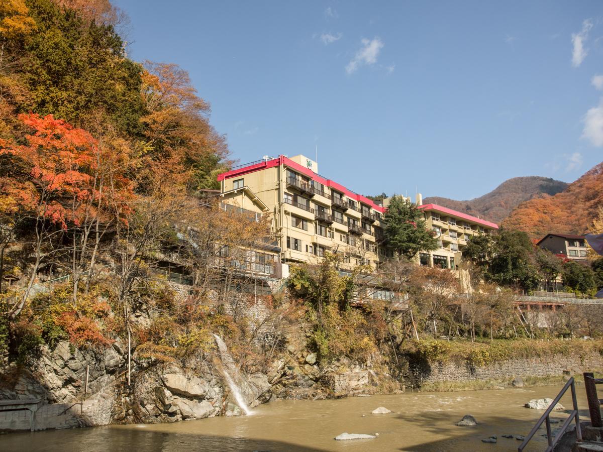 Livemax Kawaji